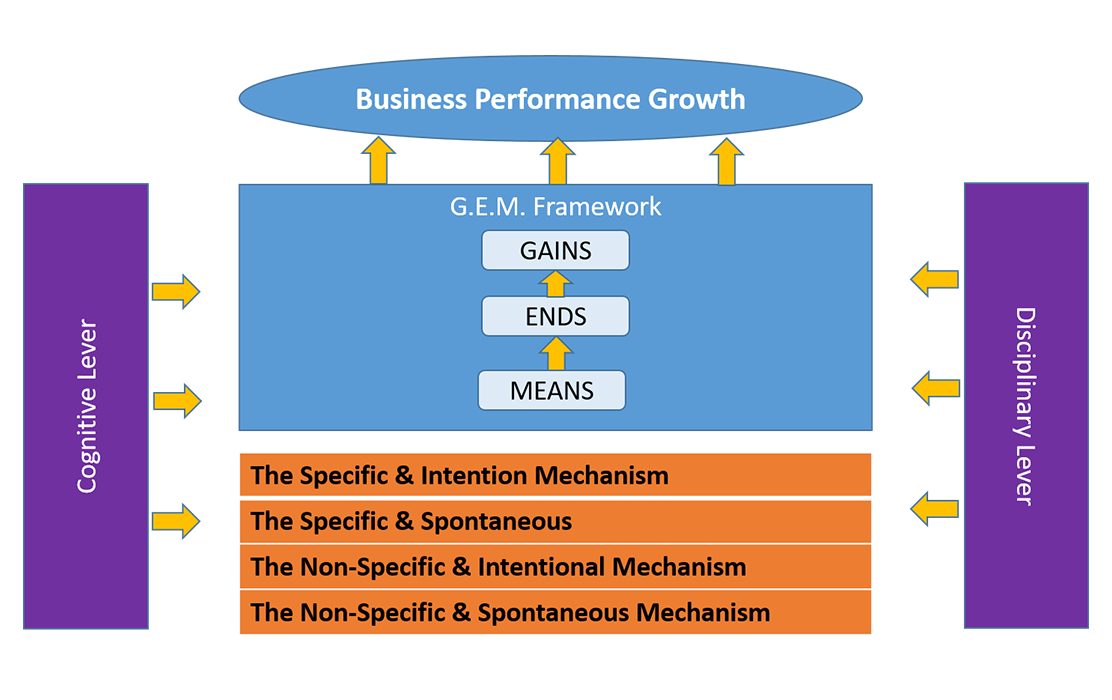 SMM Gains –Ends Means Framework